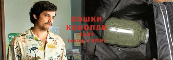 спайс Арсеньев