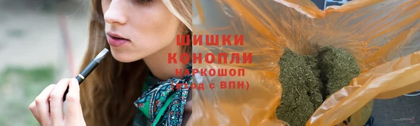 спайс Арсеньев