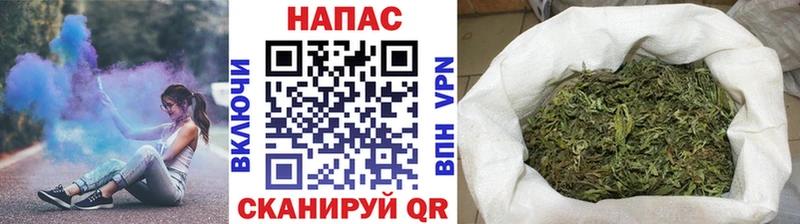 Бошки Шишки планчик  Поронайск 